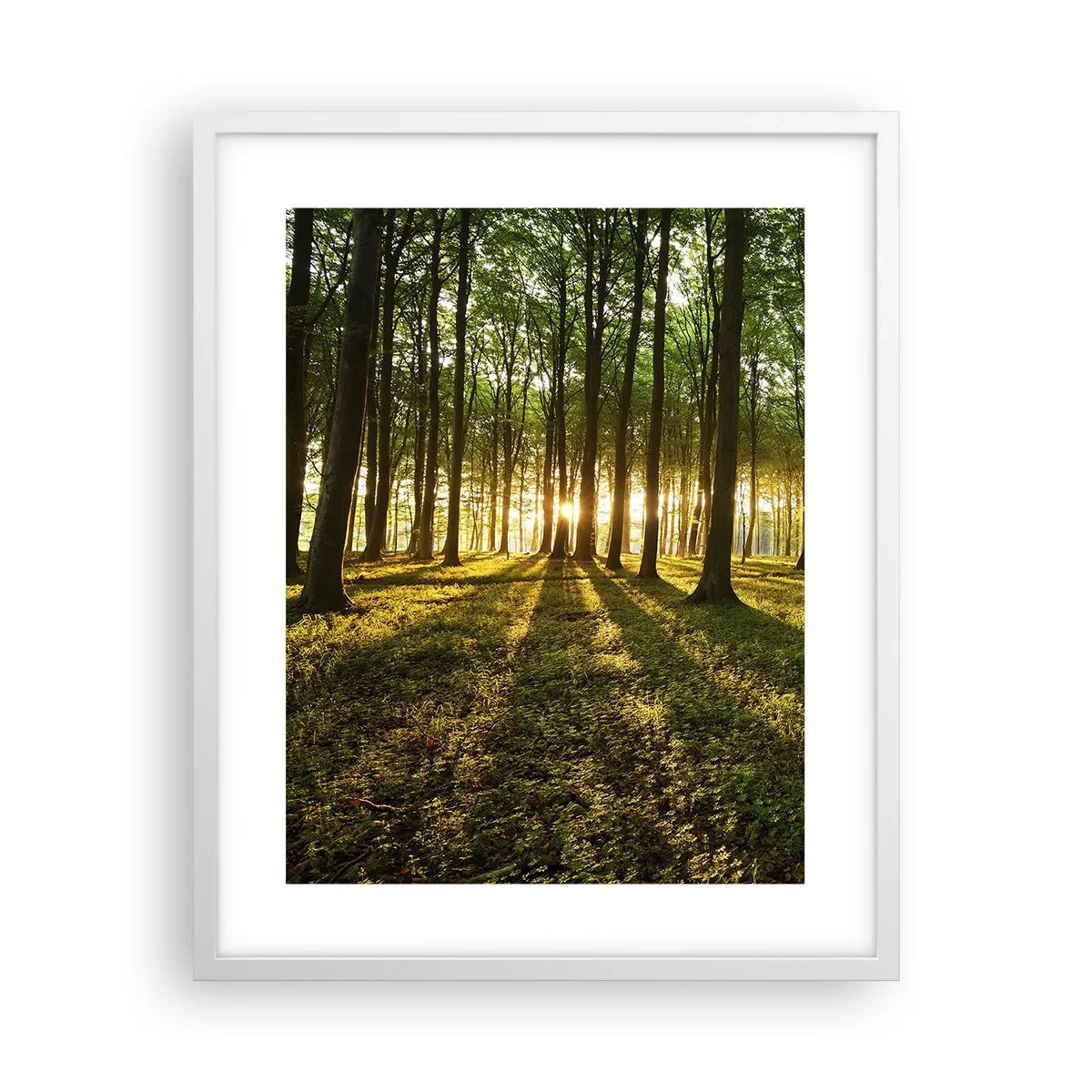 Poster in een witte lijst - Foto van de hele lente - 40x50 cm