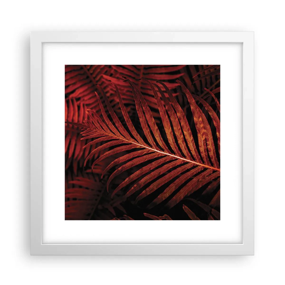 Poster in een witte lijst - De hitte van het leven - 30x30 cm