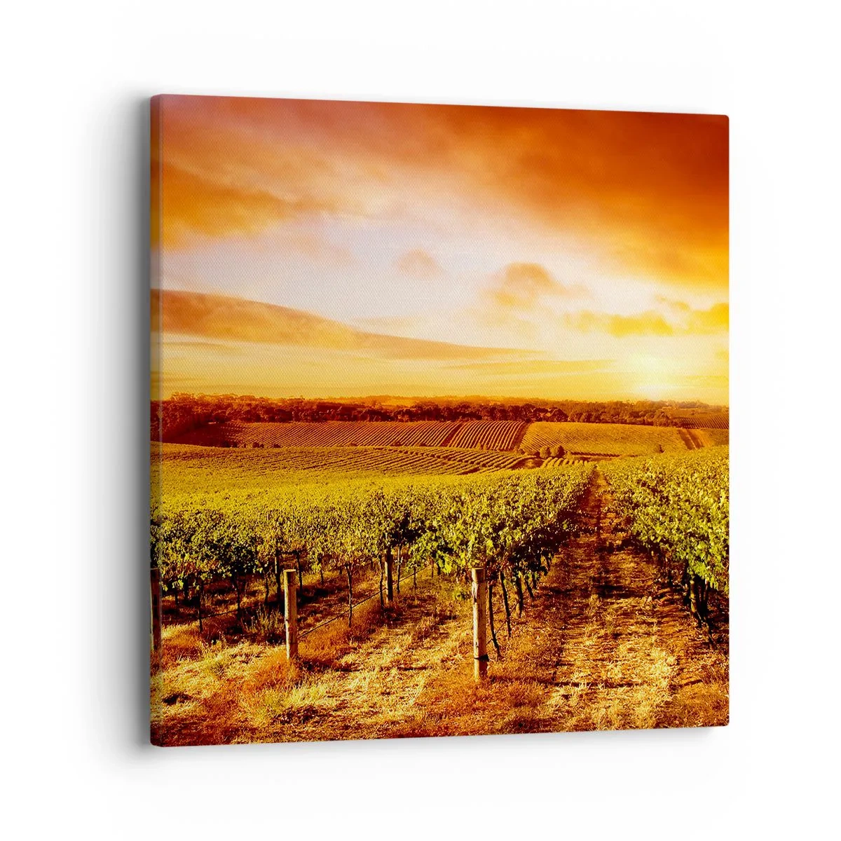 Schilderen op canvas - Licht fruitig met een vleugje zonneschijn - 40x40 cm