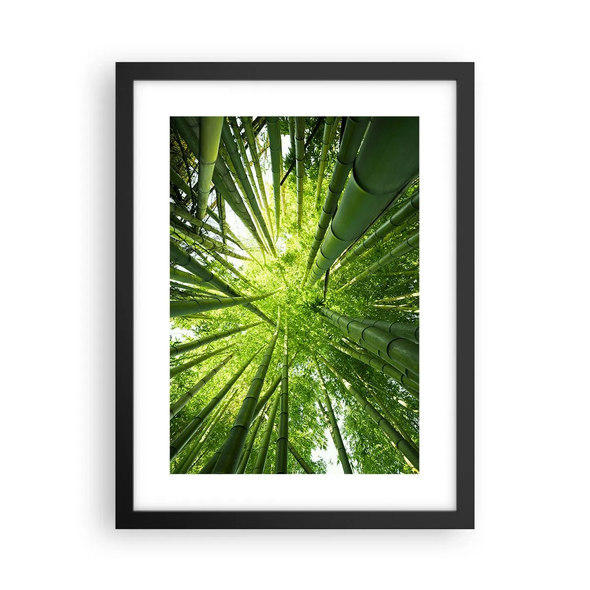 Poster in een zwarte lijst - In een bamboebos - 30x40 cm
