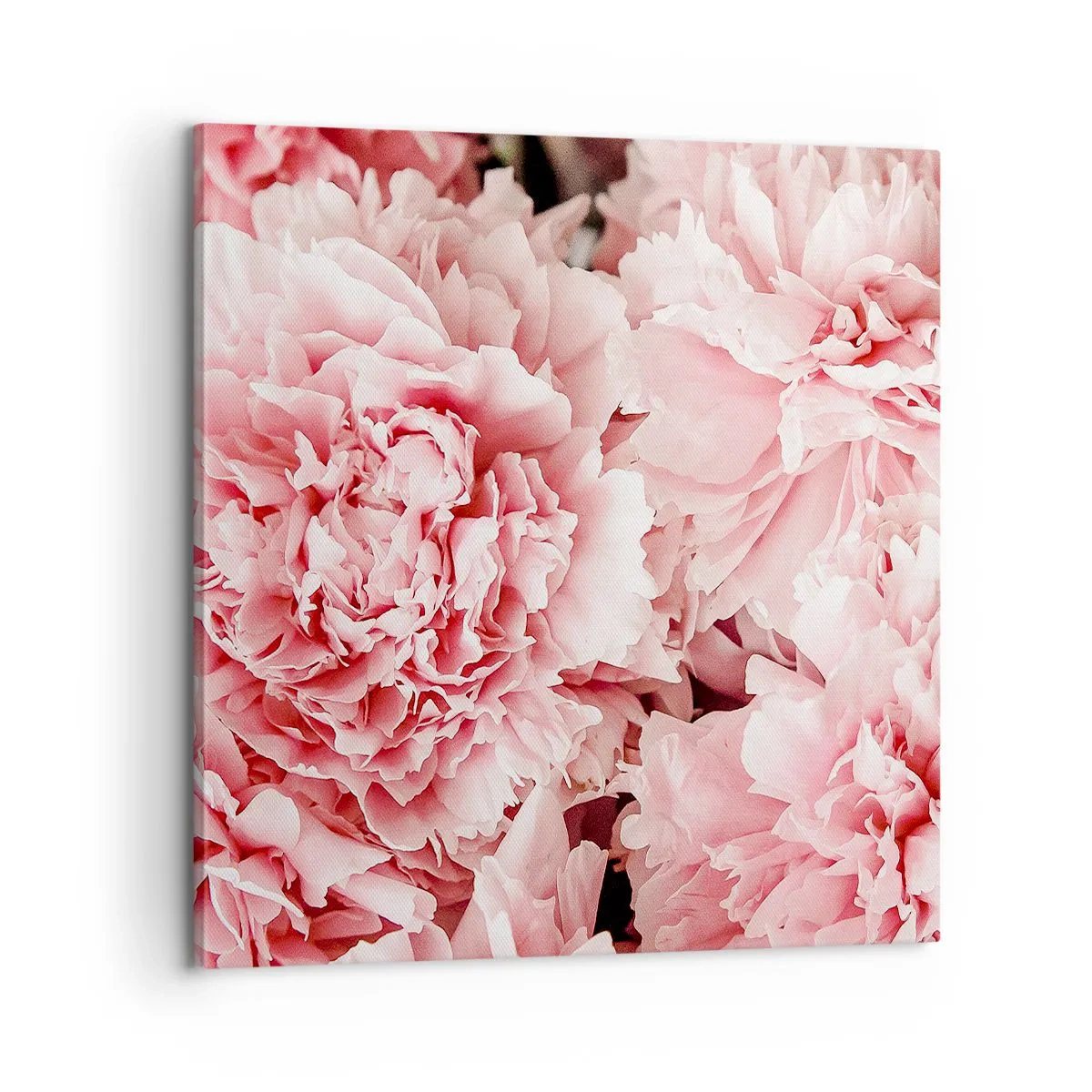 Schilderen op canvas - Roze droom - 60x60 cm