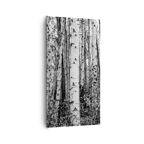 Schilderen op canvas - Berken colonnade - 65x120 cm