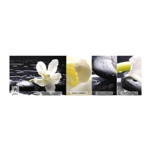 Fotobehang Staaltje Standard Eco - Een studie in zwart-wit - Bloemen, Stenen, Orchidee - 100x30 cm