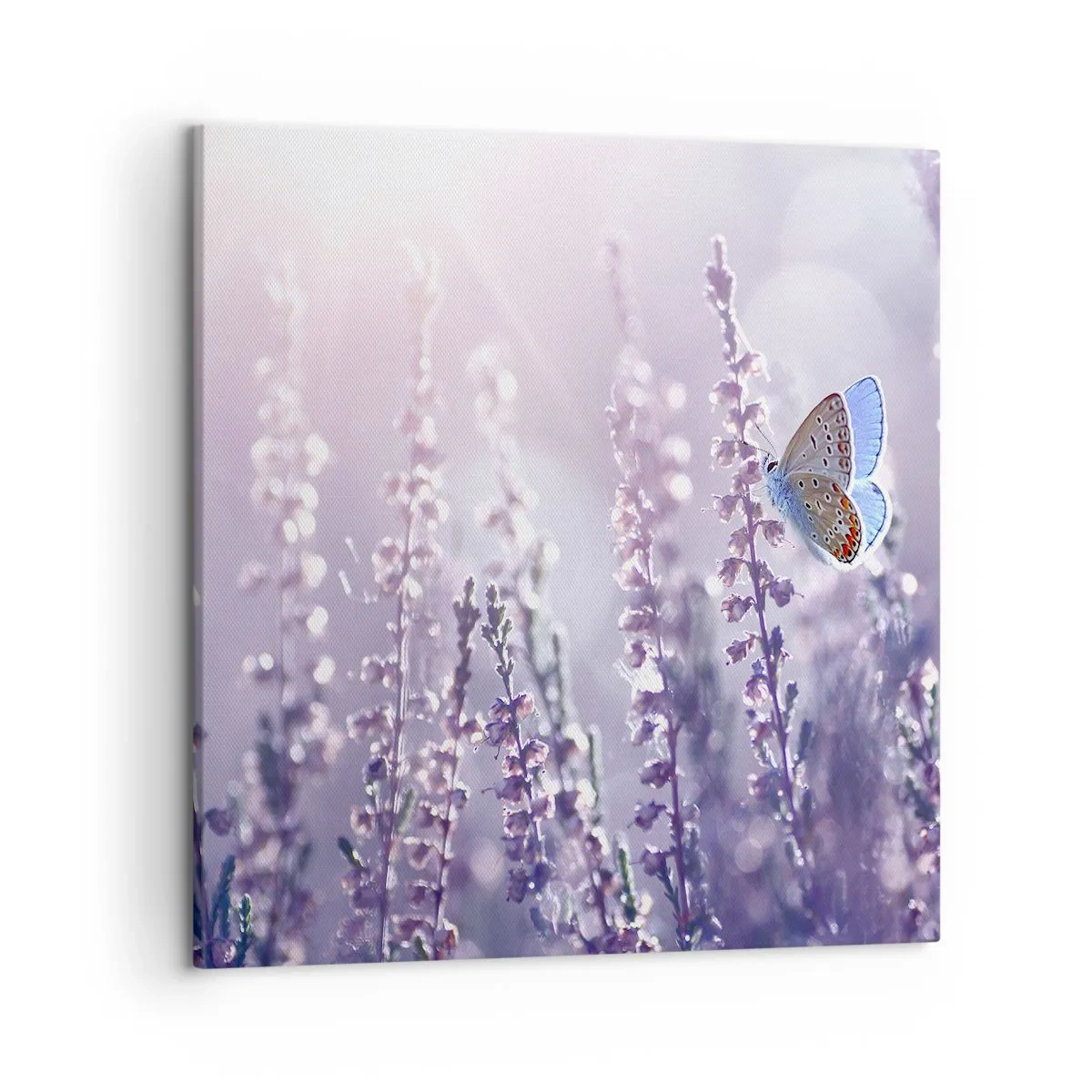Schilderen op canvas - Vlinder kus - 50x50 cm