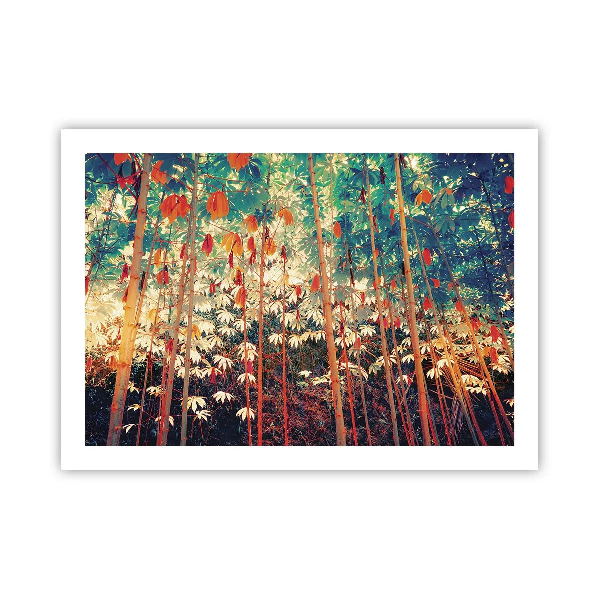 Poster - Het geheime leven van de bladeren - 70x50 cm