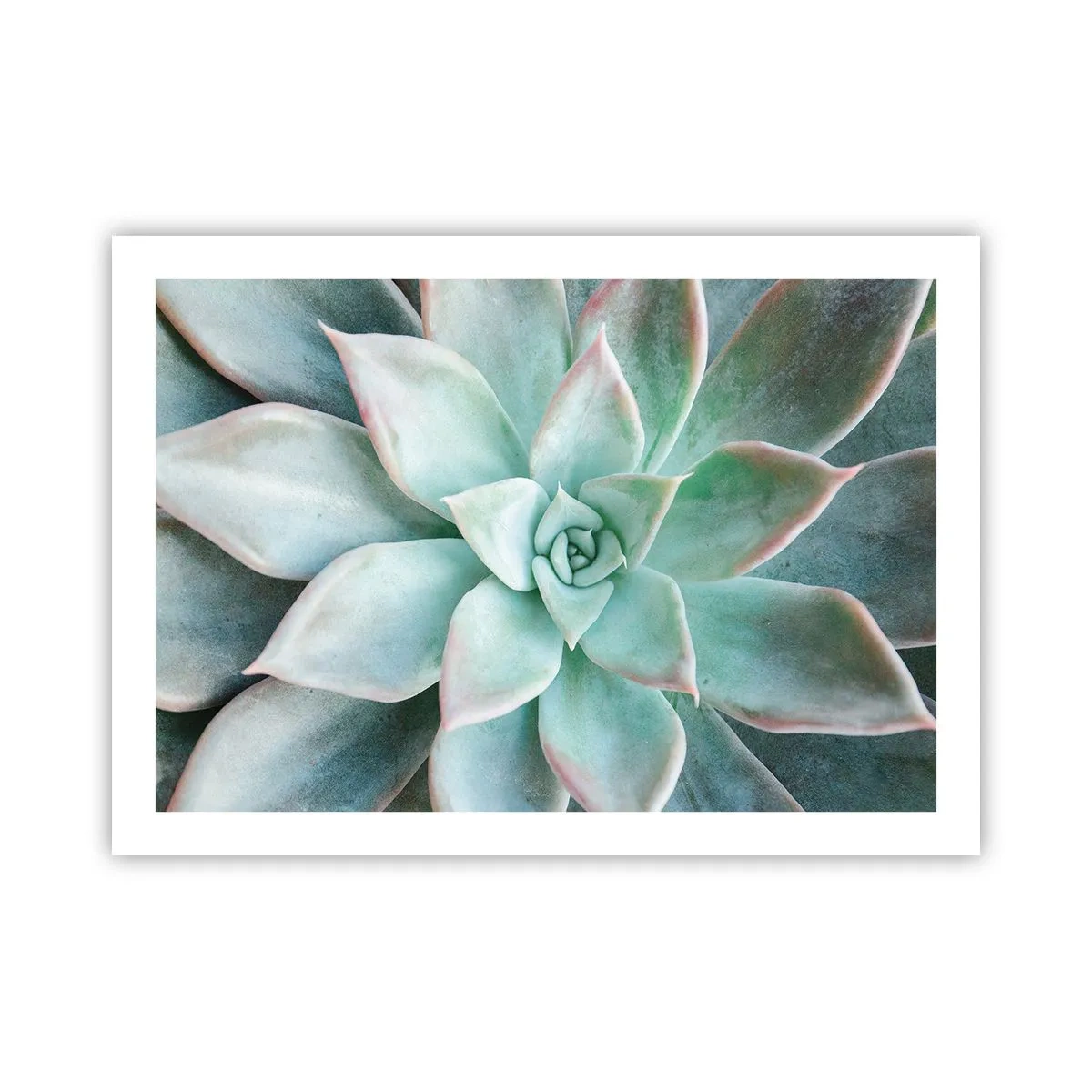 Poster - Het hart van de woestijn - 70x50 cm