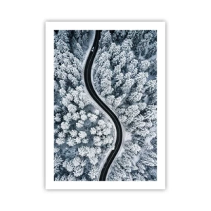 Poster - Door het winterbos - 50x70 cm