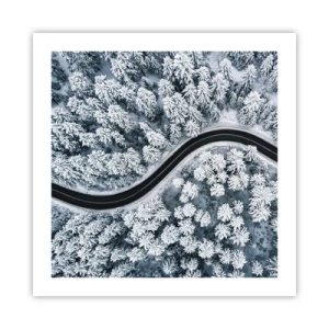 Poster - Door het winterbos - 50x50 cm