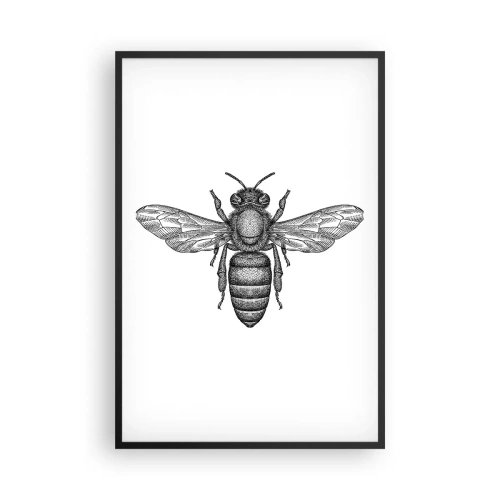 Poster in een zwarte lijst - Insectenportret - 61x91 cm