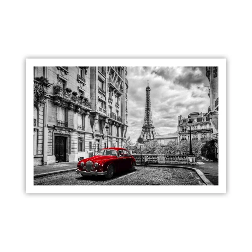 Poster - Roofdier in de stad - 91x61 cm