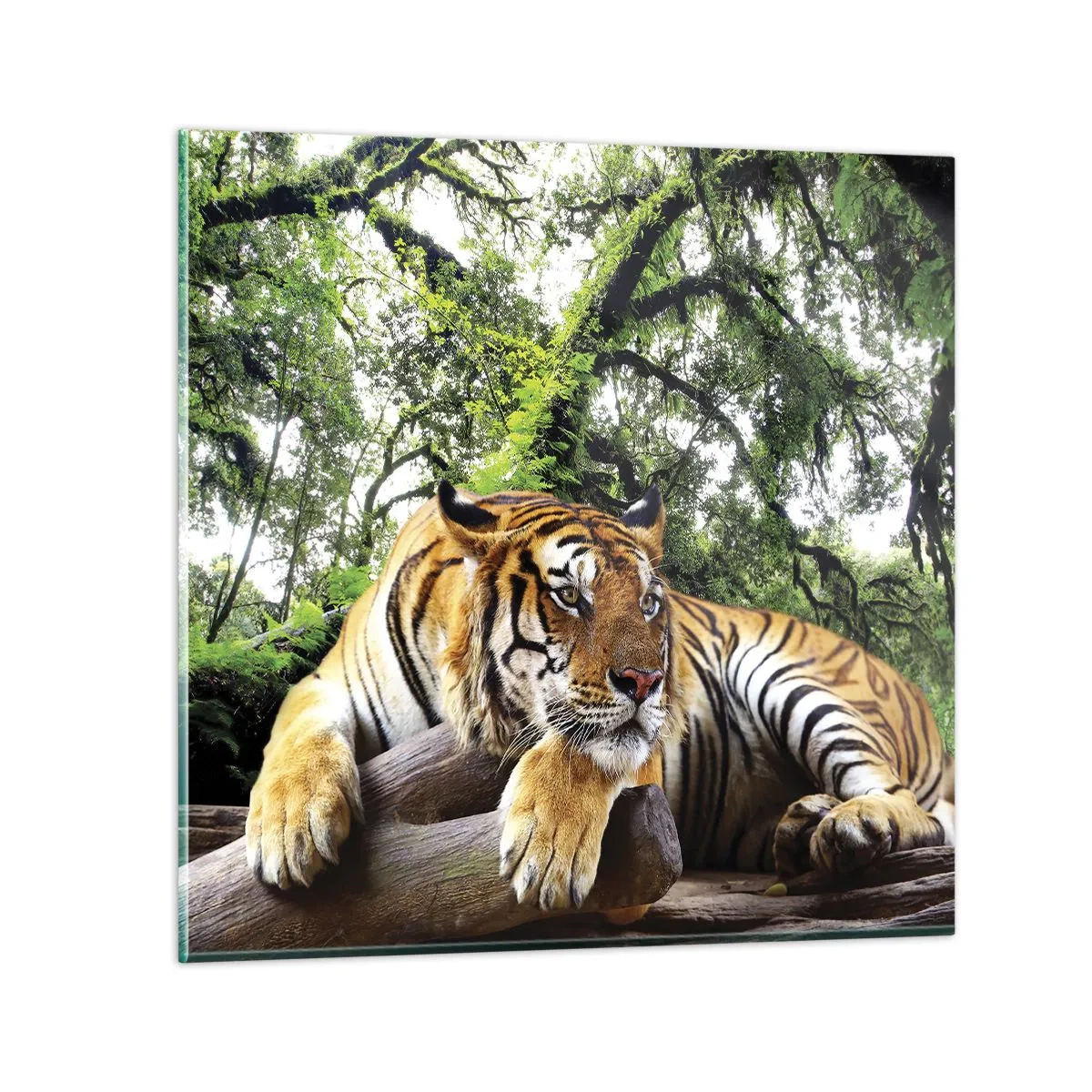 Schilderen op glas - Met vriendelijke groet - 40x40 cm