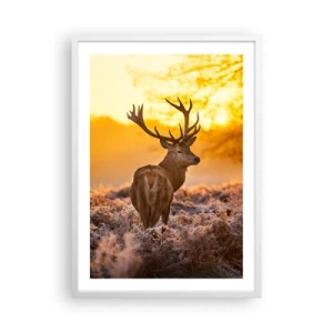 Poster in een witte lijst - Koning van het herfstbos - 50x70 cm