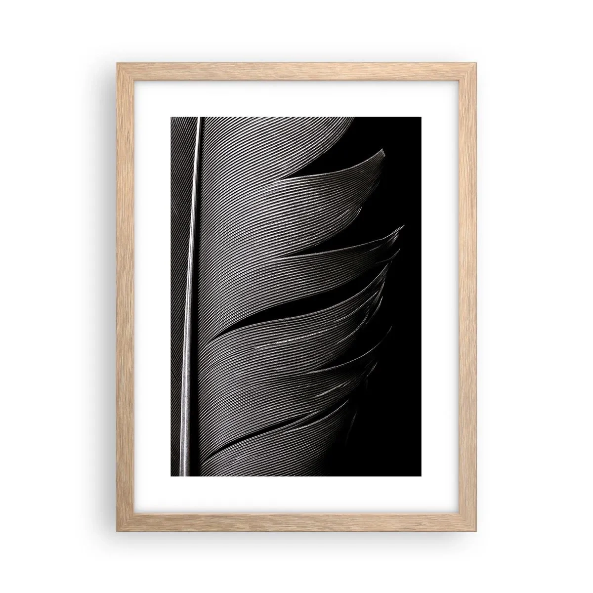 Een poster in een licht eiken lijst - Een veer - prachtig ontwerp - 30x40 cm