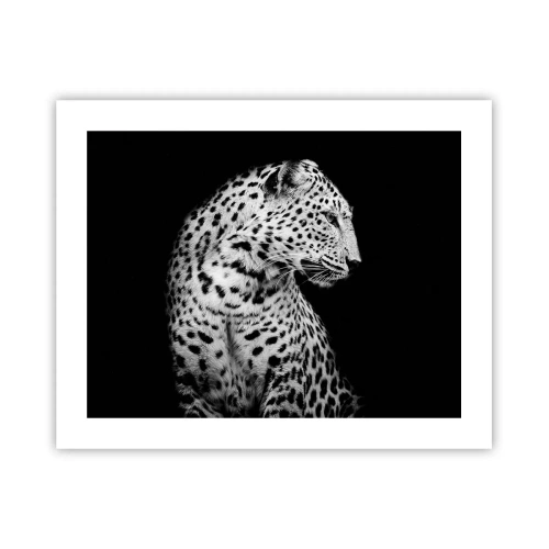 Poster - Juist profiel perfect! - 50x40 cm