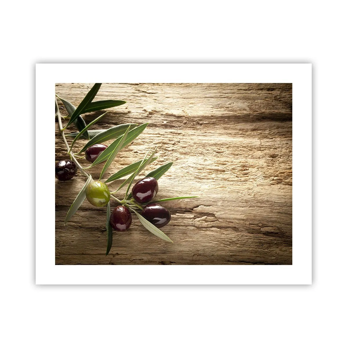 Poster - Rechtstreeks uit de natuur - 50x40 cm