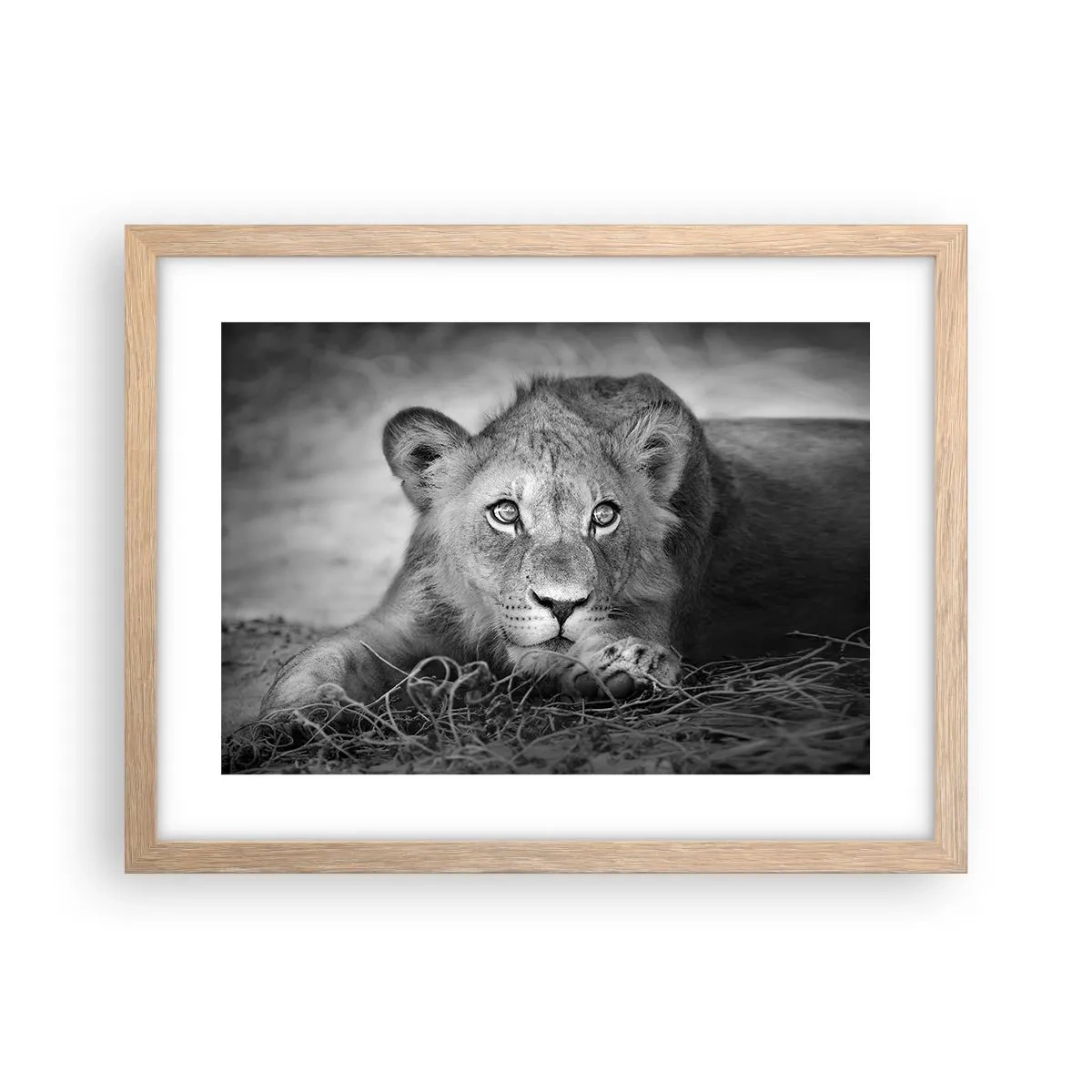 Een poster in een licht eiken lijst - Koninklijke puppy - 40x30 cm