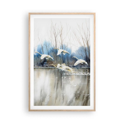 Een poster in een licht eiken lijst - Zoals in het sprookje over wilde zwanen - 61x91 cm