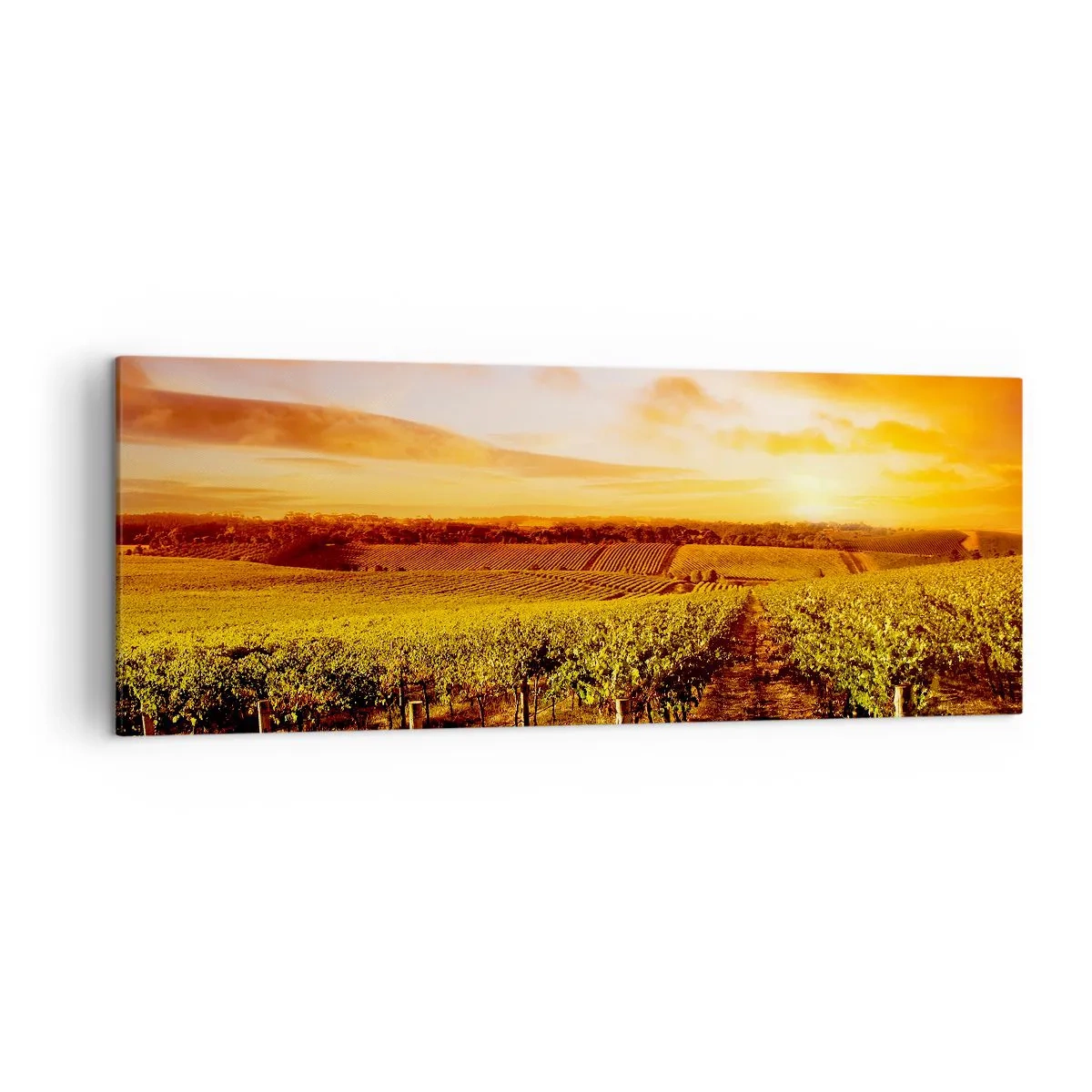 Schilderen op canvas - Licht fruitig met een vleugje zonneschijn - 140x50 cm