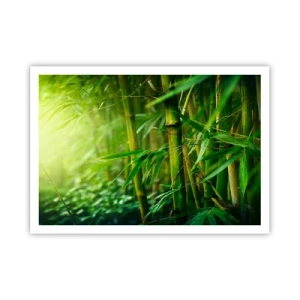Poster - Maak kennis met groen zelf - 100x70 cm