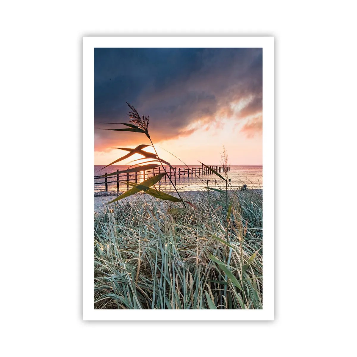 Poster - Het gaat niet met de wind mee - 61x91 cm