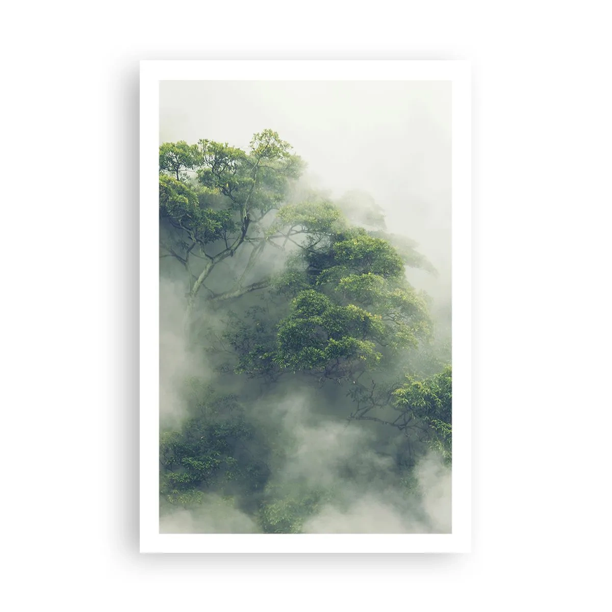 Poster - In mist gehuld - 61x91 cm