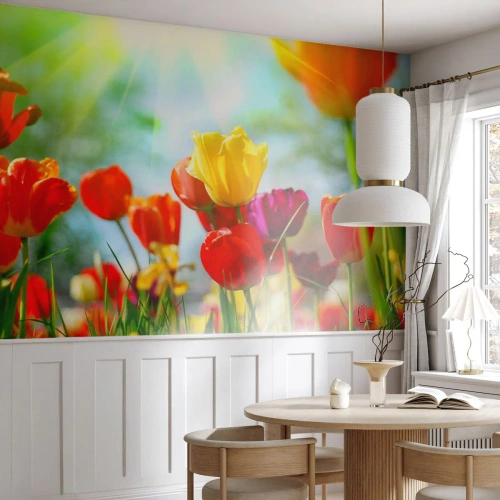 Fotobehang Standard Eco - Alle kleuren van de zon - Tulpen, Bloemen, Wei - 250x175 cm