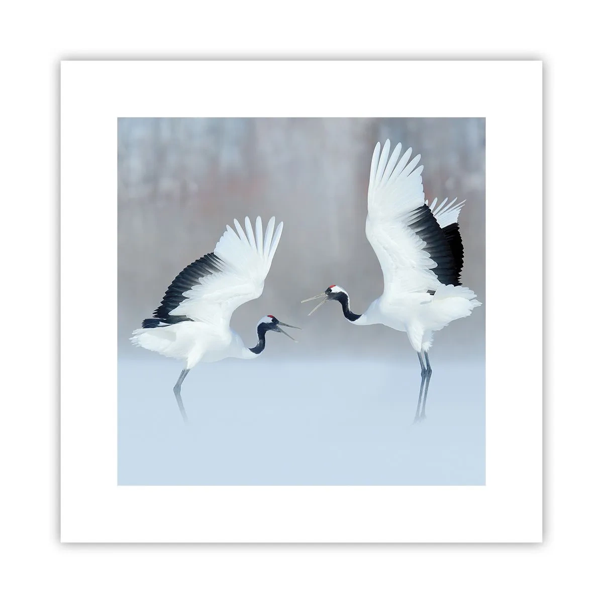 Poster - Dans in de mist - 30x30 cm