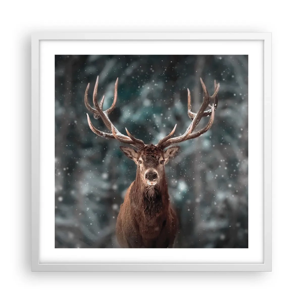 Poster in een witte lijst - Gekroond tot koning van het bos - 50x50 cm