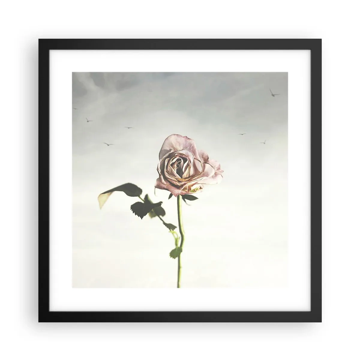 Poster in een zwarte lijst - Begroeting van de lente - 40x40 cm