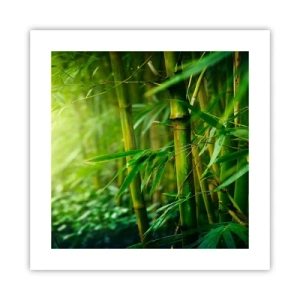 Poster - Maak kennis met groen zelf - 40x40 cm