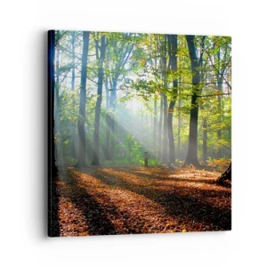 Schilderen op canvas - Lichten en schaduwen - 40x40 cm