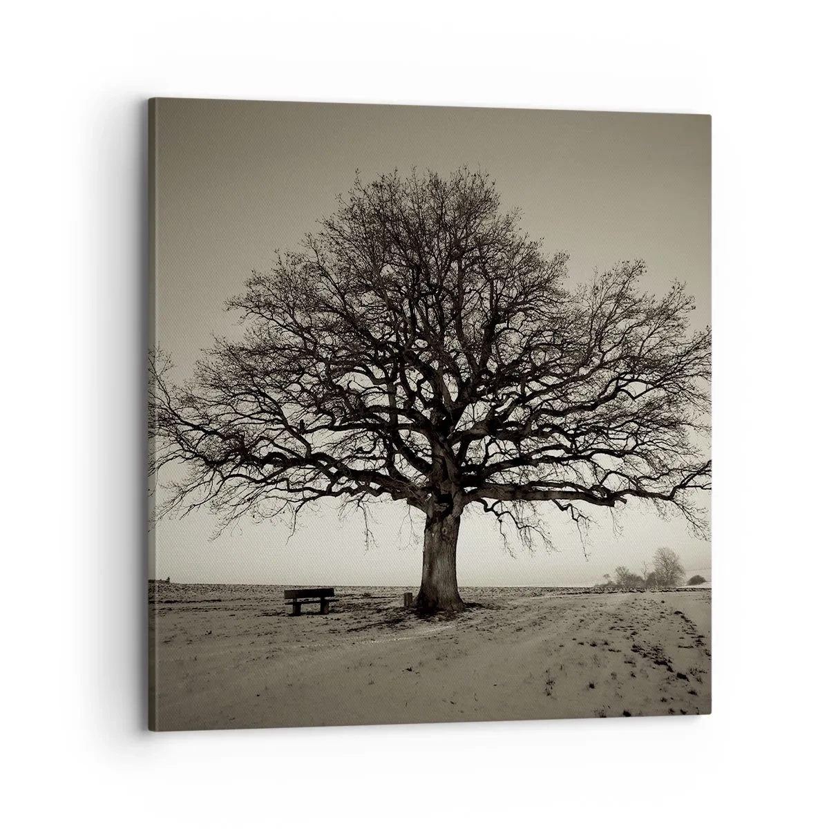 Schilderen op canvas - Van hier tot in de eeuwigheid - 70x70 cm