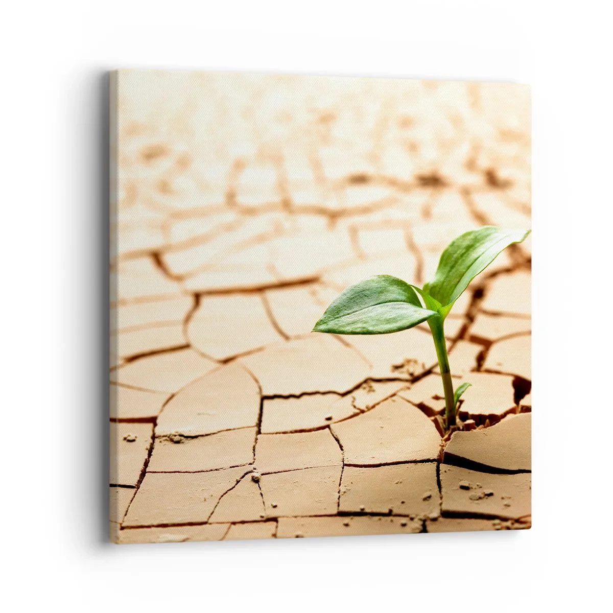Schilderen op canvas - De ontembare kracht van het leven - 40x40 cm