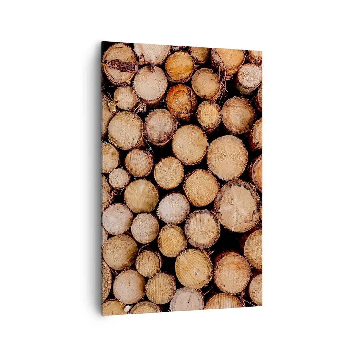 Schilderen op canvas - Een nieuw begin - 80x120 cm