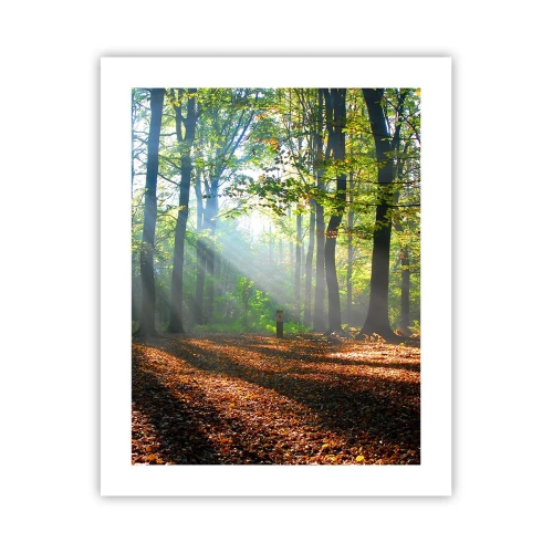 Poster - Lichten en schaduwen - 40x50 cm