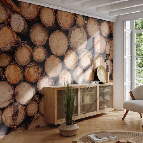 Fotobehang Premium Sand - Een nieuw begin - Hout, Houtblokken, Natuur - 350x256 cm