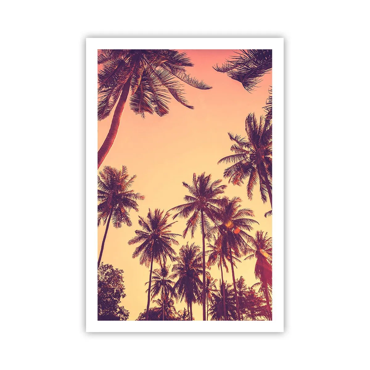 Poster - Een tropische variant - 61x91 cm