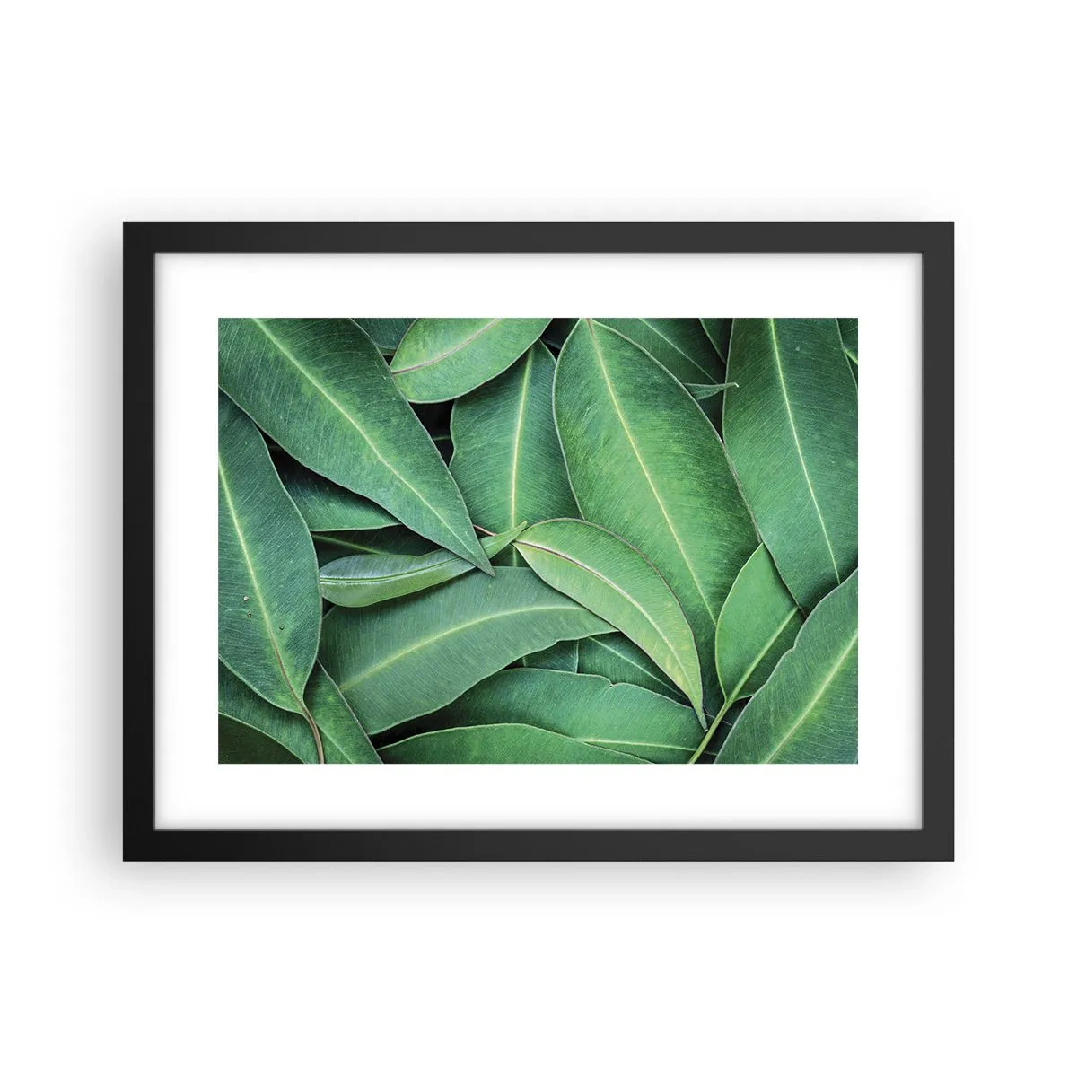 Poster in een zwarte lijst - Sappig en fris - 40x30 cm