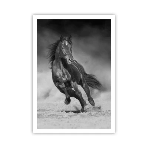 Poster - De emir zelf waardig - 70x100 cm