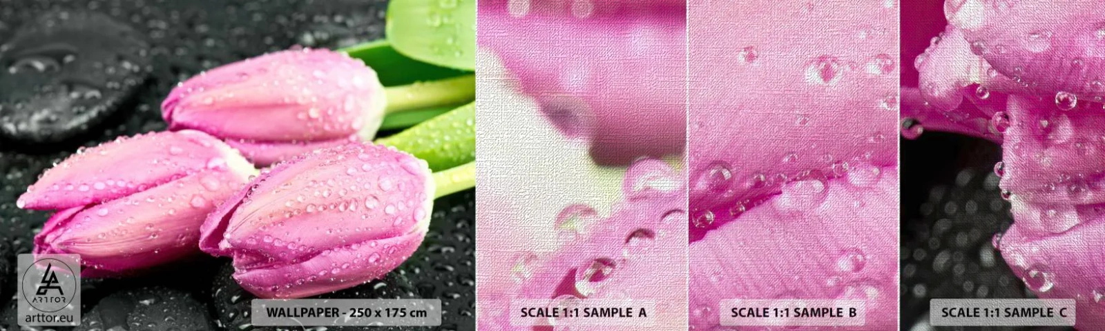 Fotobehang Monster Premium Canvas - Lila drie op een zwarte steen - Bloemen, Tulpen, Boeket bloemen - 100x30 cm