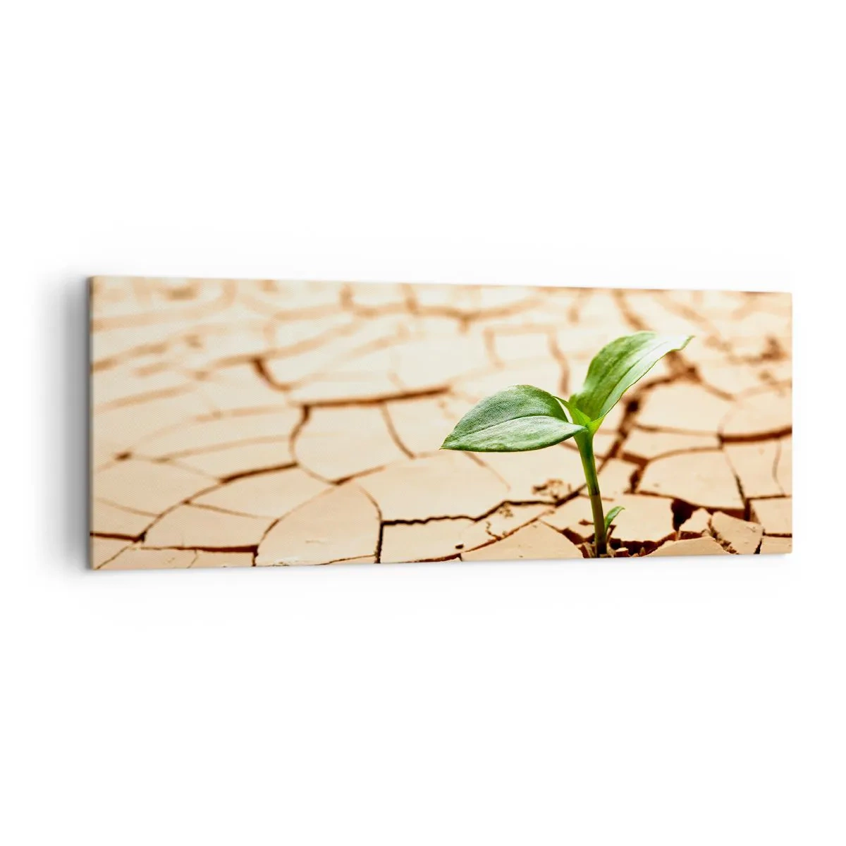 Schilderen op canvas - De ontembare kracht van het leven - 140x50 cm