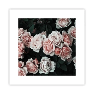 Poster - Rozen ensemble - 30x30 cm
