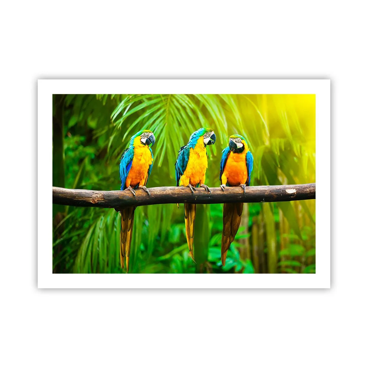Poster - En heb je gehoord dat ze...? - 70x50 cm