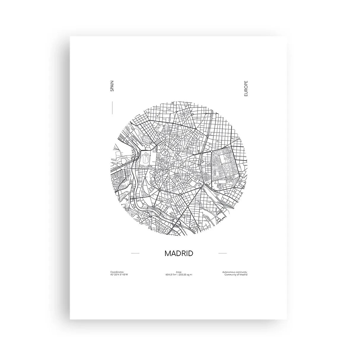 Poster - Anatomie van Madrid - 30x40 cm