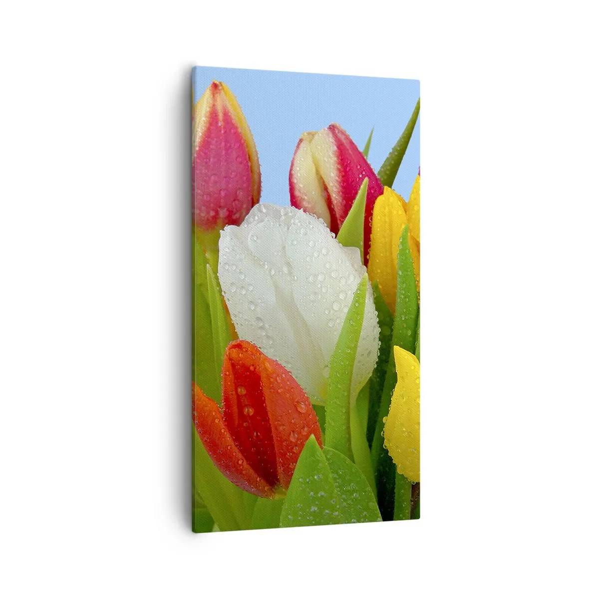 Schilderen op canvas - Een bloemenregenboog in dauwdruppels - 55x100 cm