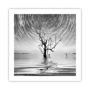 Poster - Een symfonie van de natuur - 50x50 cm