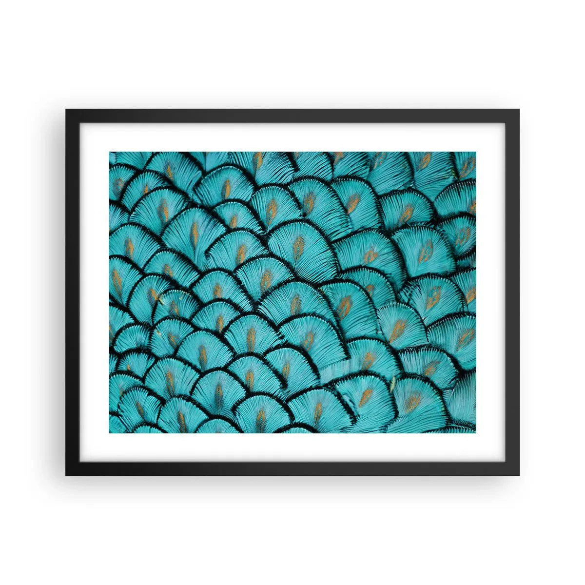 Poster in een zwarte lijst - Het grote verengala - 50x40 cm