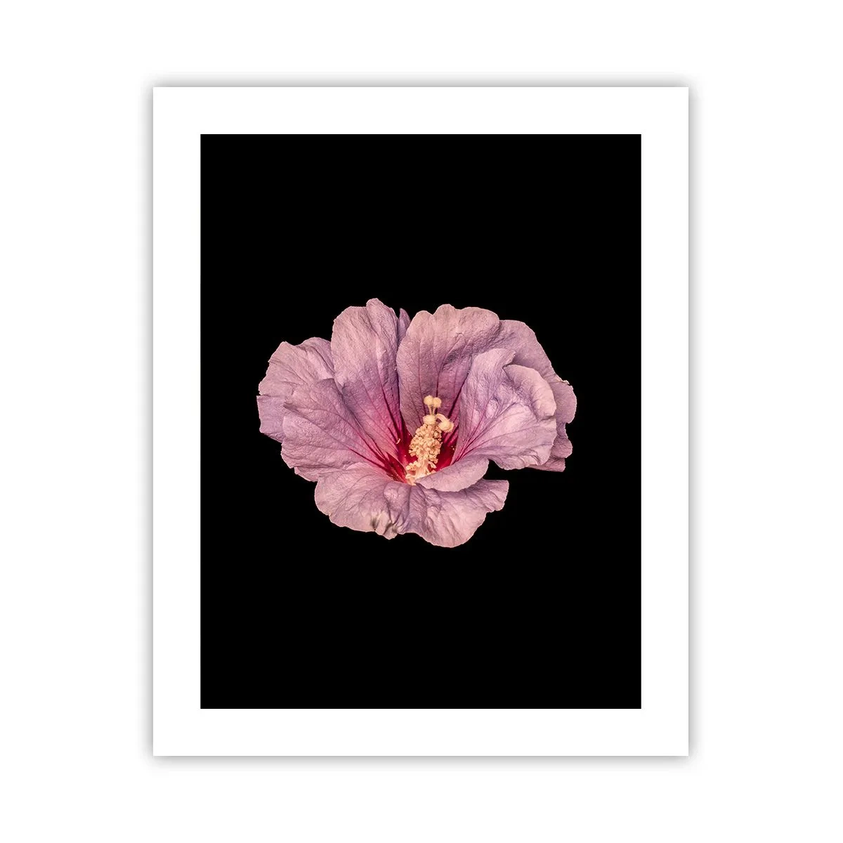 Poster - Recht in het hart - 40x50 cm