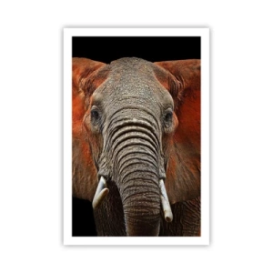 Poster - Ik ben wild, en jij? - 61x91 cm