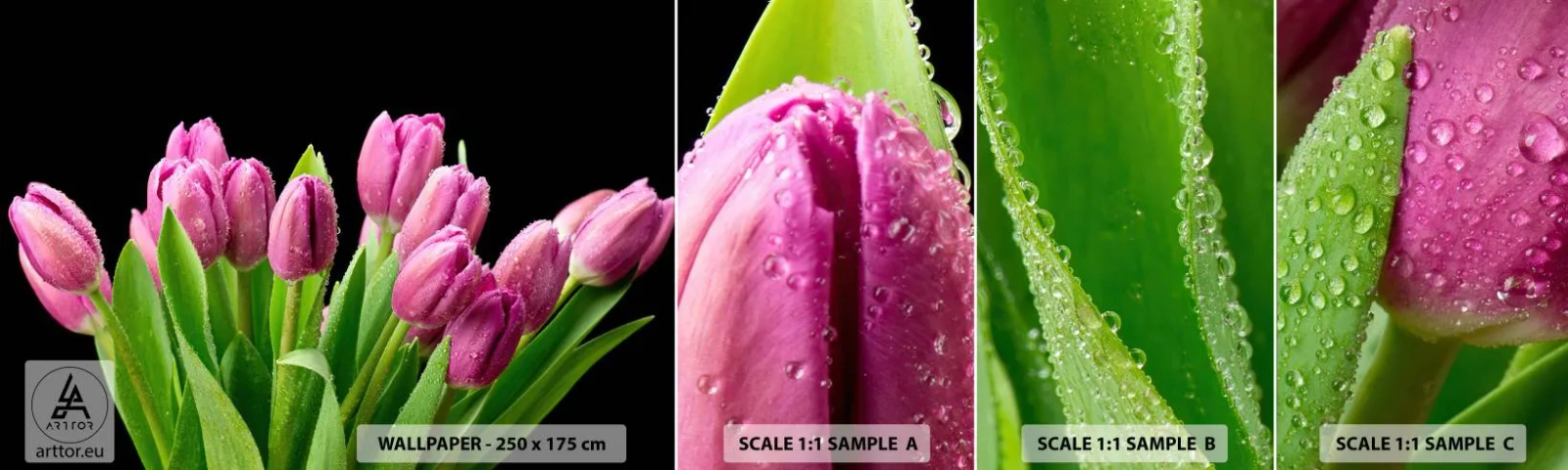 Fotobehang Monster Zelfklevend Deluxe Sticker - Lila vreugde van de lente - Bloemen, Tulpen, Boeket bloemen - 100x30 cm